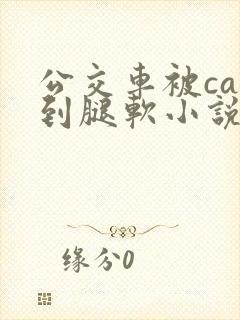 公交车被cao到腿软小说
