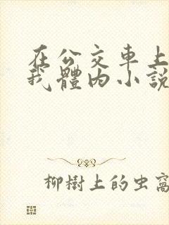 在公交车上强进我体内小说