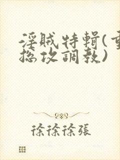 淫贼特辑(重口总攻调教)