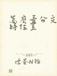 怎么看公交车实时位置