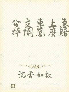 公交车上急刹车摔倒怎么赔偿