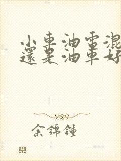 小车油电混动好还是油车好?