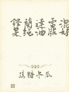 锋兰达电混好还是纯油版好