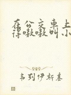 在公交车上被玩得嗷嗷叫小说