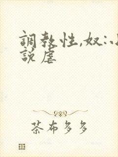调教性,奴:小说虐
