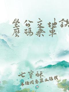 坐公交地铁用什么码乘车