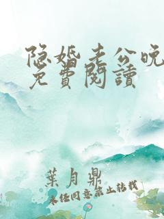 隐婚老公晚上见免费阅读