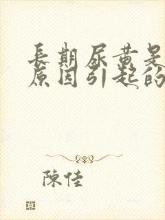 长期尿黄是什么原因引起的