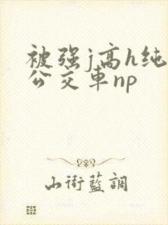 被强j高h纯肉公交车np