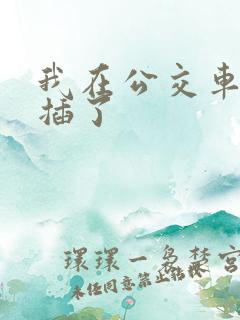 我在公交车上被插了