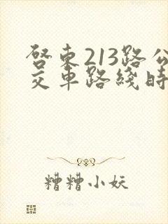 启东213路公交车路线时间表