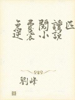 免费阅读匹夫的逆袭小说