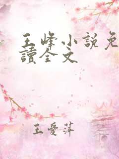 王峰小说免费阅读全文