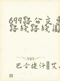699路公交车路线路线图