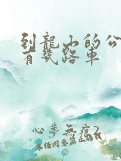 到龙山的公交车有几路车