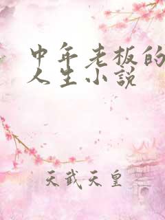 中年老板的同志人生小说