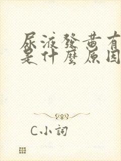 尿液发黄有骚味是什么原因