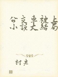 公交车被上高潮小说大结局