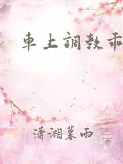 车上调教乖奴h