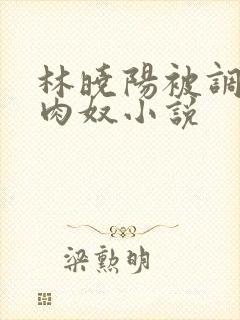 林晓阳被调教成肉奴小说