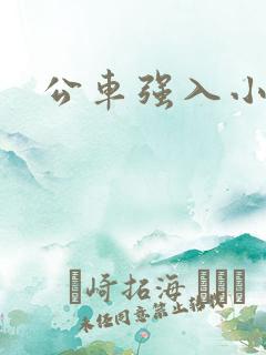 公车强入小说