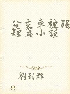 公交车被强系列短篇小说