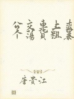 公交车上爽死你个荡货粗暴h小说