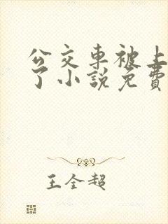 公交车被上高潮了小说免费阅读