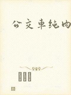 公交车纯肉超h