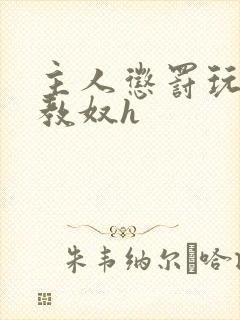 主人惩罚玩弄调教奴h