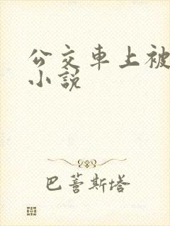 公交车上被插的小说