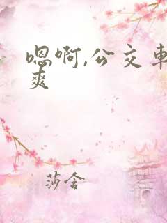 嗯啊,公交车,爽