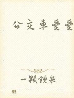 公交车爱爱口述