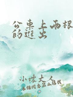 公车上两根猛烈的进出
