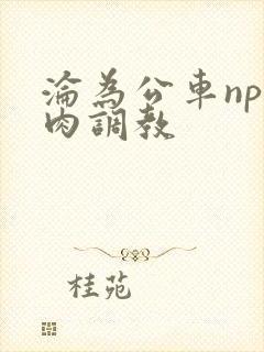 沦为公车np纯肉调教