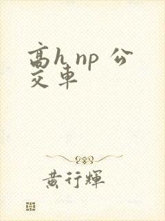 高h np 公交车