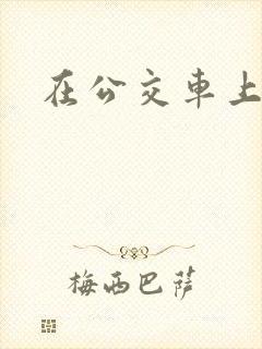 在公交车上h