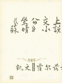《坐公交上班的苏晴》小说