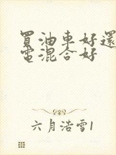 买油车好还是油电混合好