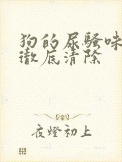 狗的尿骚味怎样彻底清除