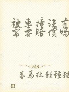 被车撞没有受伤需要赔偿吗