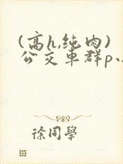(高h,纯肉)公交车群p小说