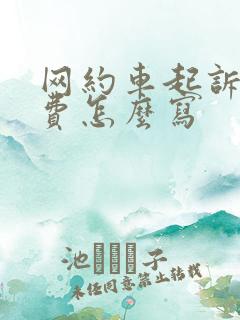 网约车起诉误工费怎么写