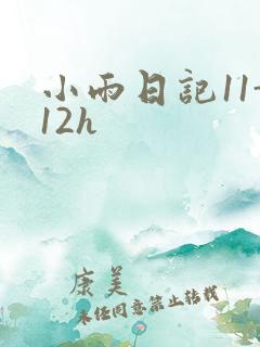 小雨日记11-12h