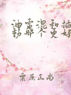 油电混和插电混动哪个更好