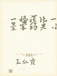 一婚还比一婚高晨雾的光 小说