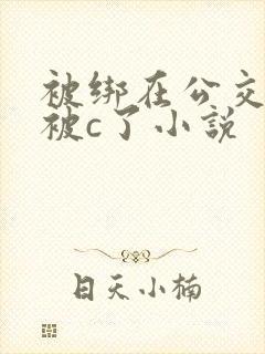被绑在公交车里被c了小说