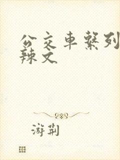 公交车系列高h辣文