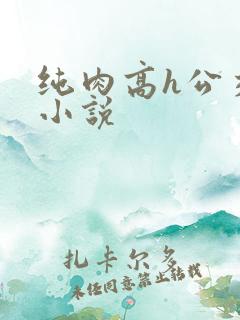 纯肉高h公交车小说
