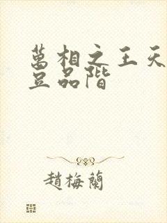 万相之王天蚕土豆品阶